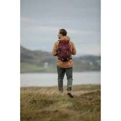 Quechua NH100, Hiking 30 L Backpack Backpacks & Bags