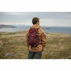 Quechua NH100, Hiking 30 L Backpack Backpacks & Bags