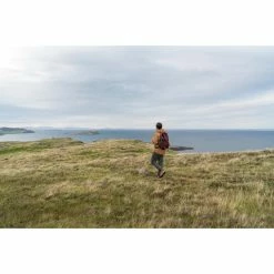 Quechua NH100, Hiking 30 L Backpack Backpacks & Bags